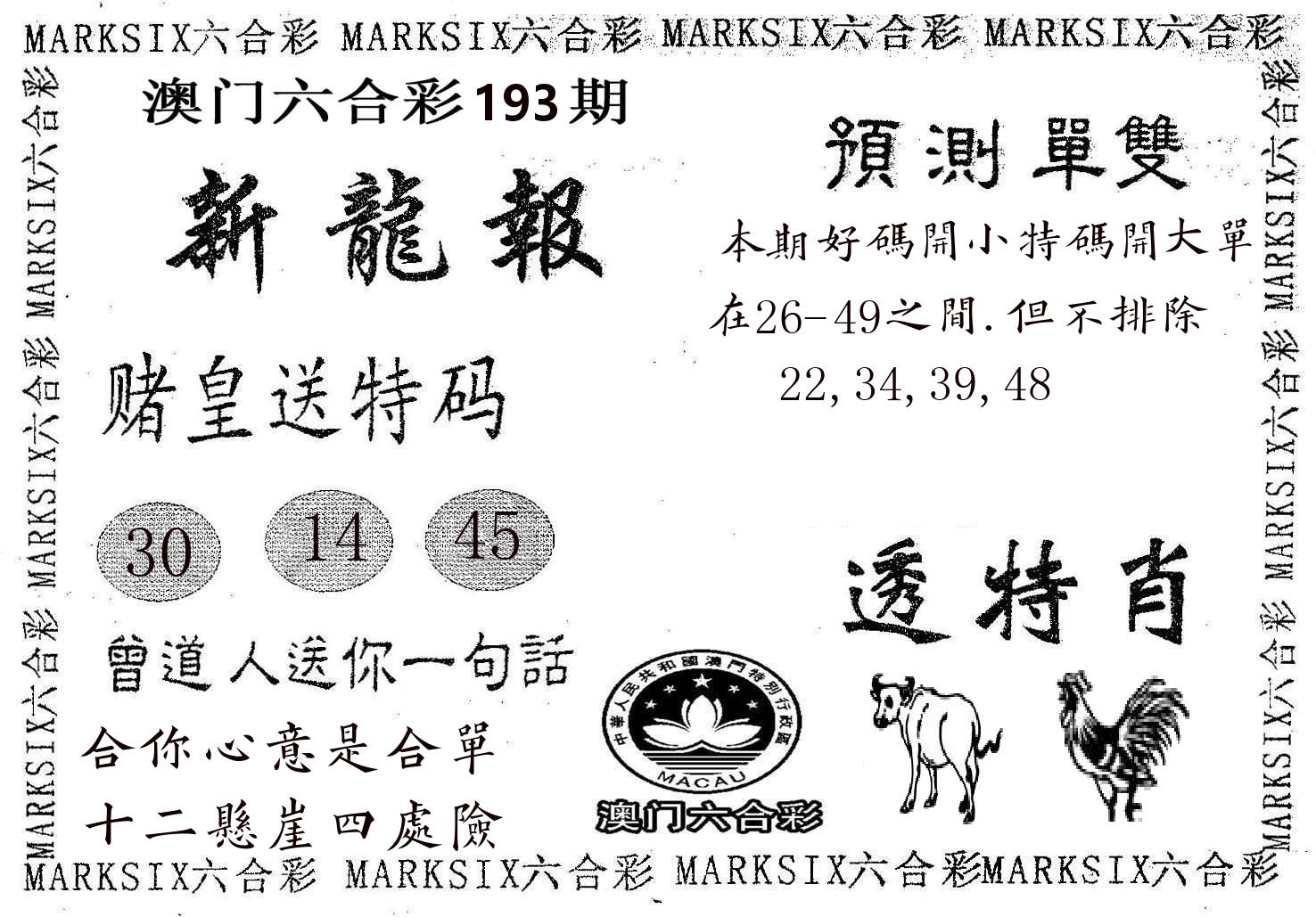新龙报 第193期
