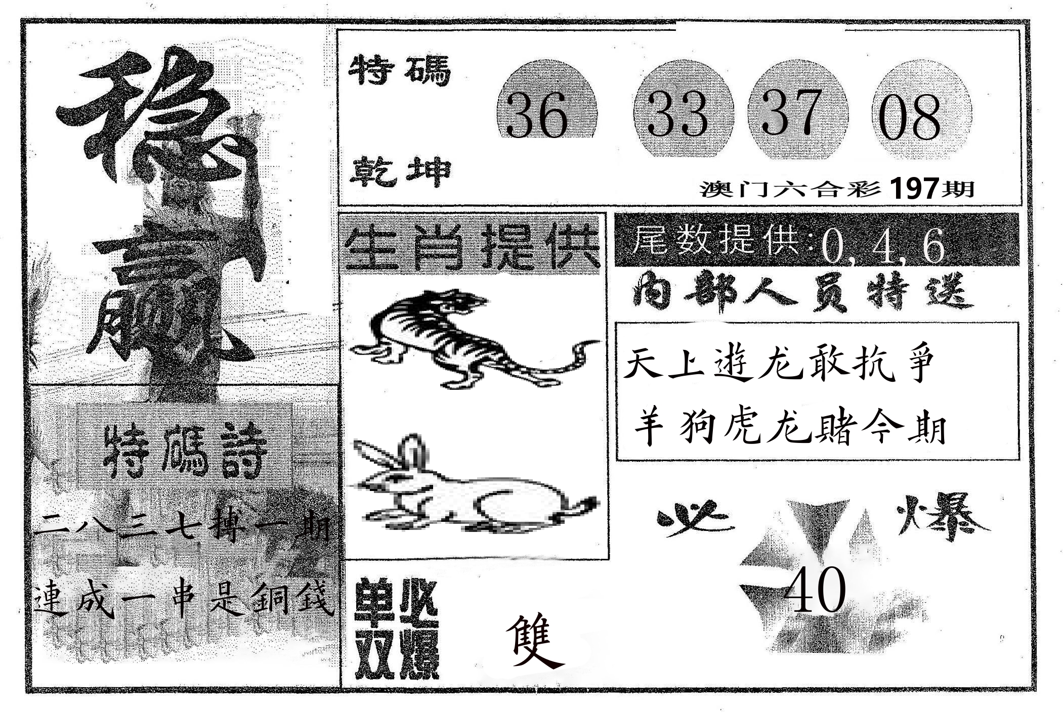稳赢 第197期