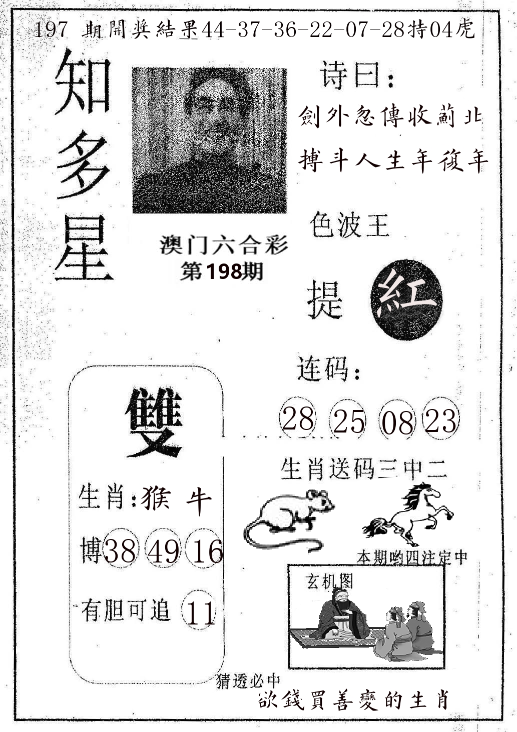 知多星 第198期