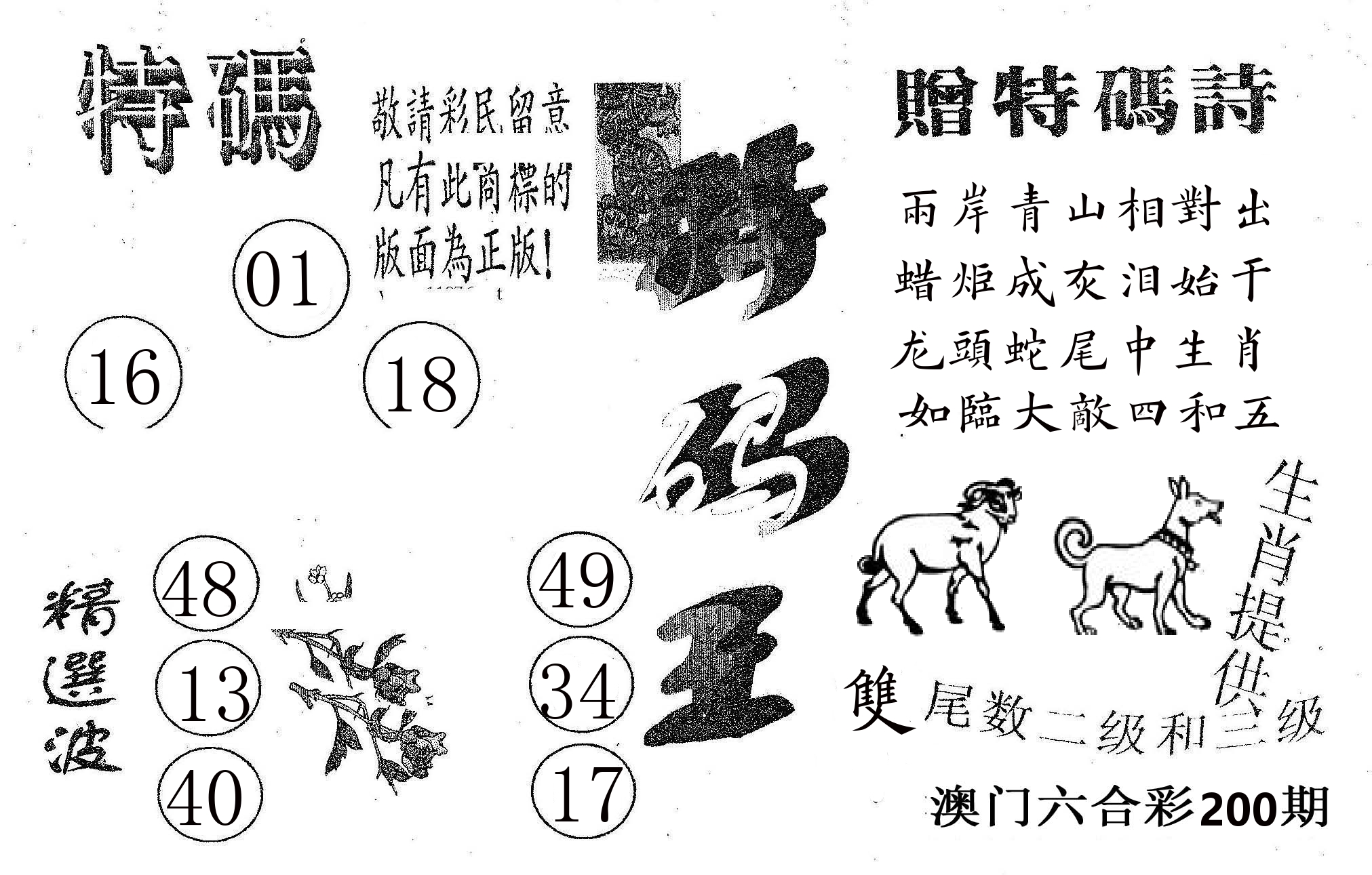 特码王A 第200期