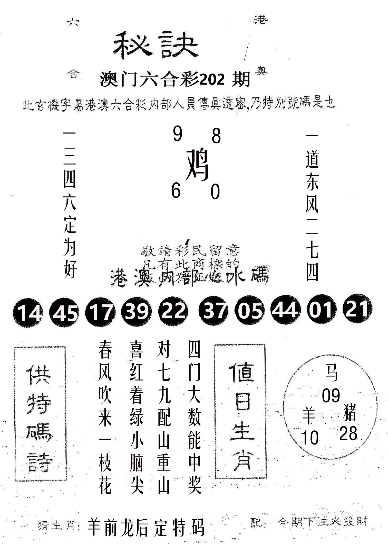 秘决 第202期