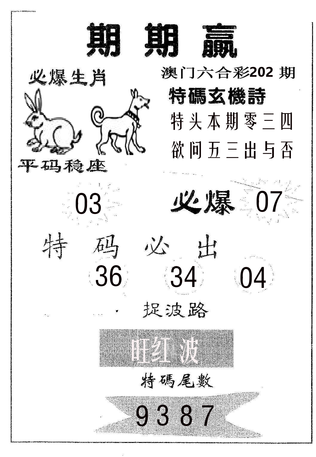 期期赢 第202期