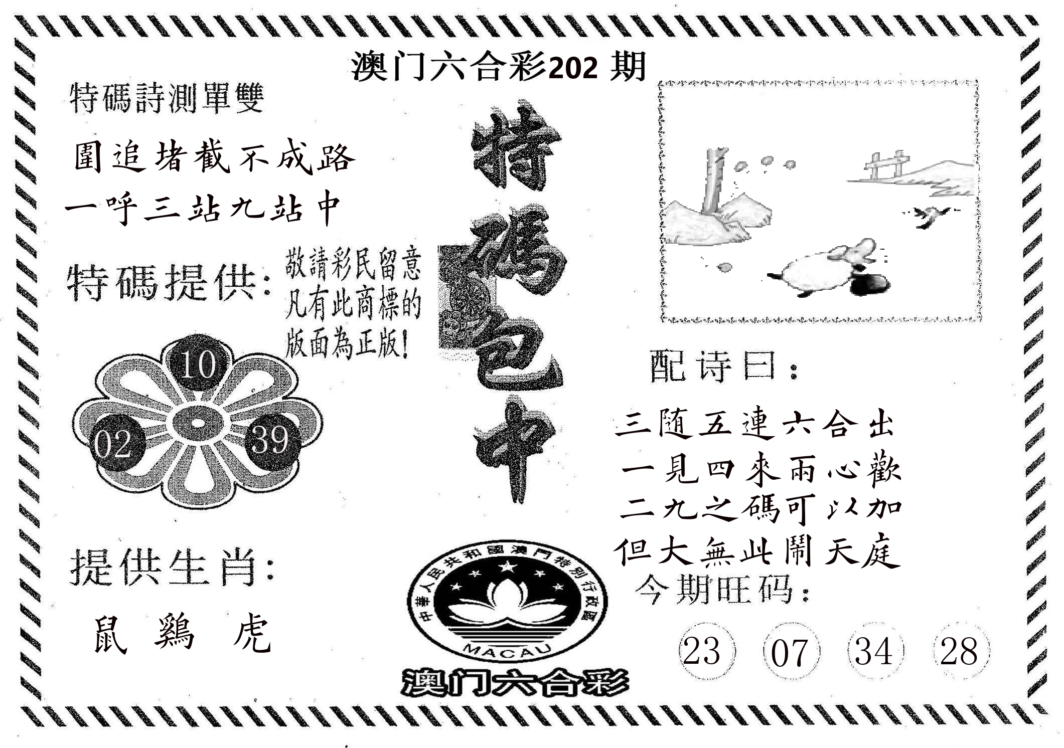 特码包中 第202期