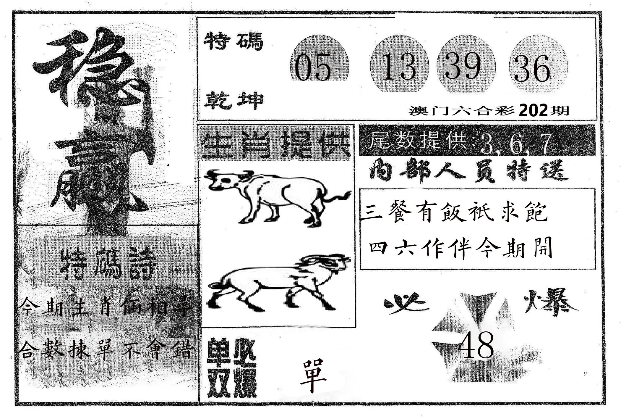 稳赢 第202期