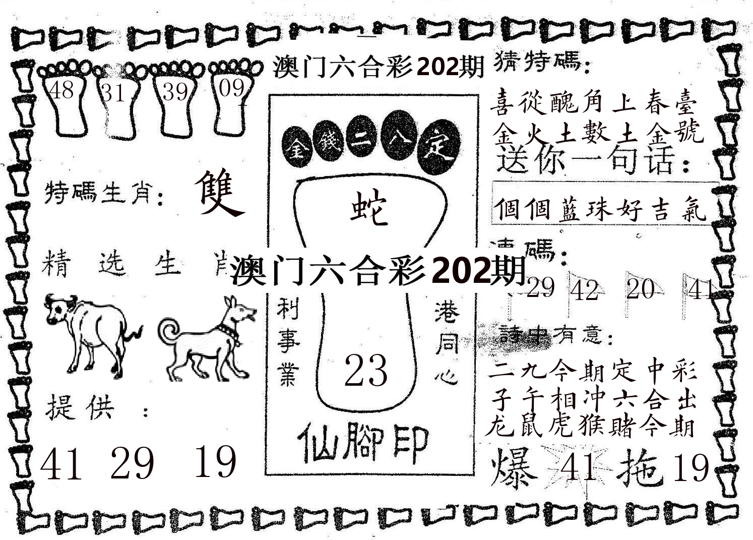 仙脚印 第202期