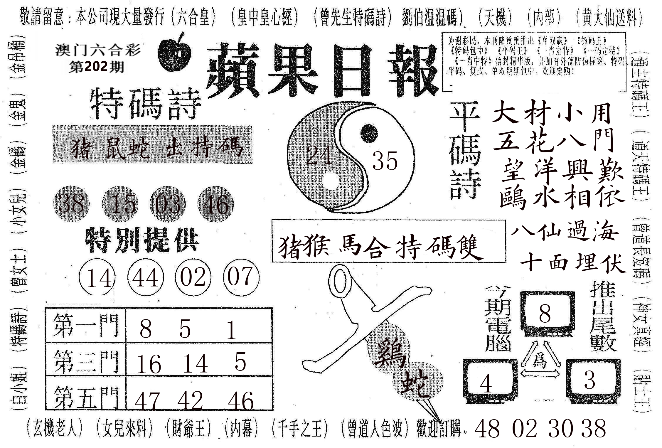 新苹果日报 第202期