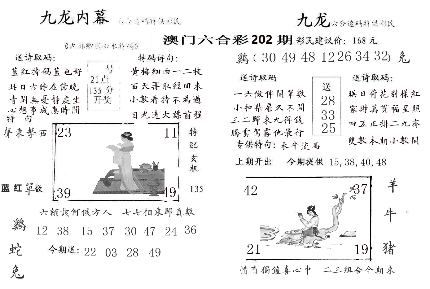 九龙内幕 第202期