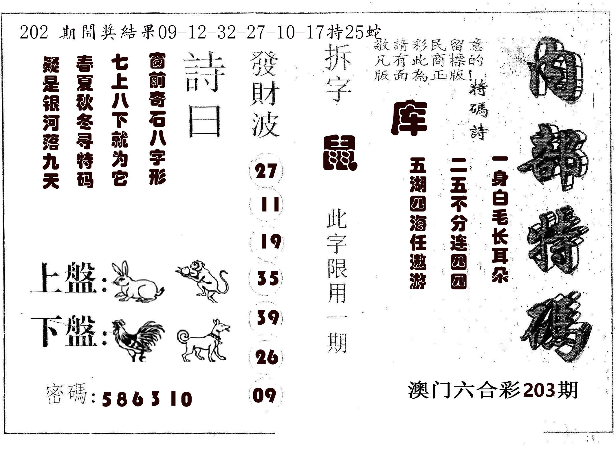内部特码 第203期