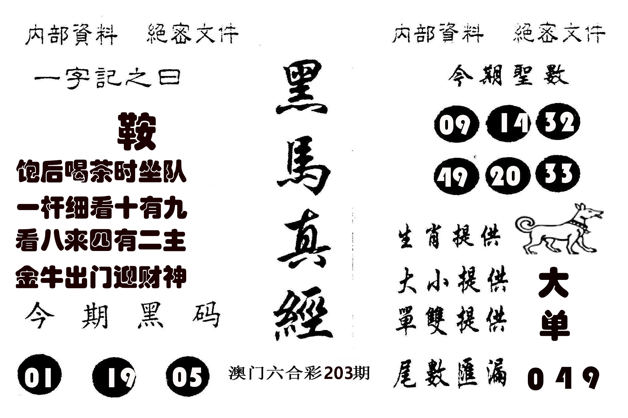 黑马真经 第203期