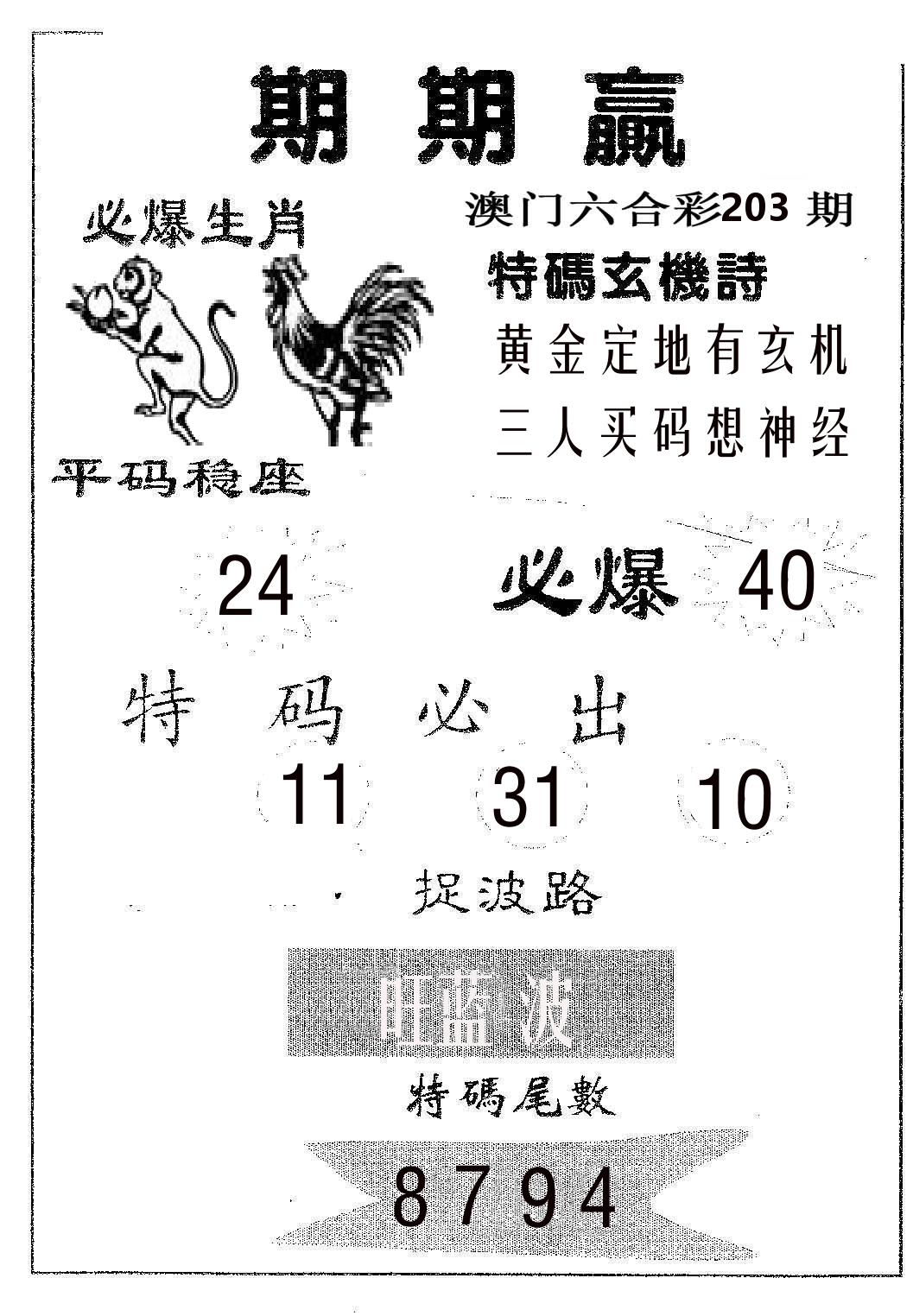 期期赢 第203期
