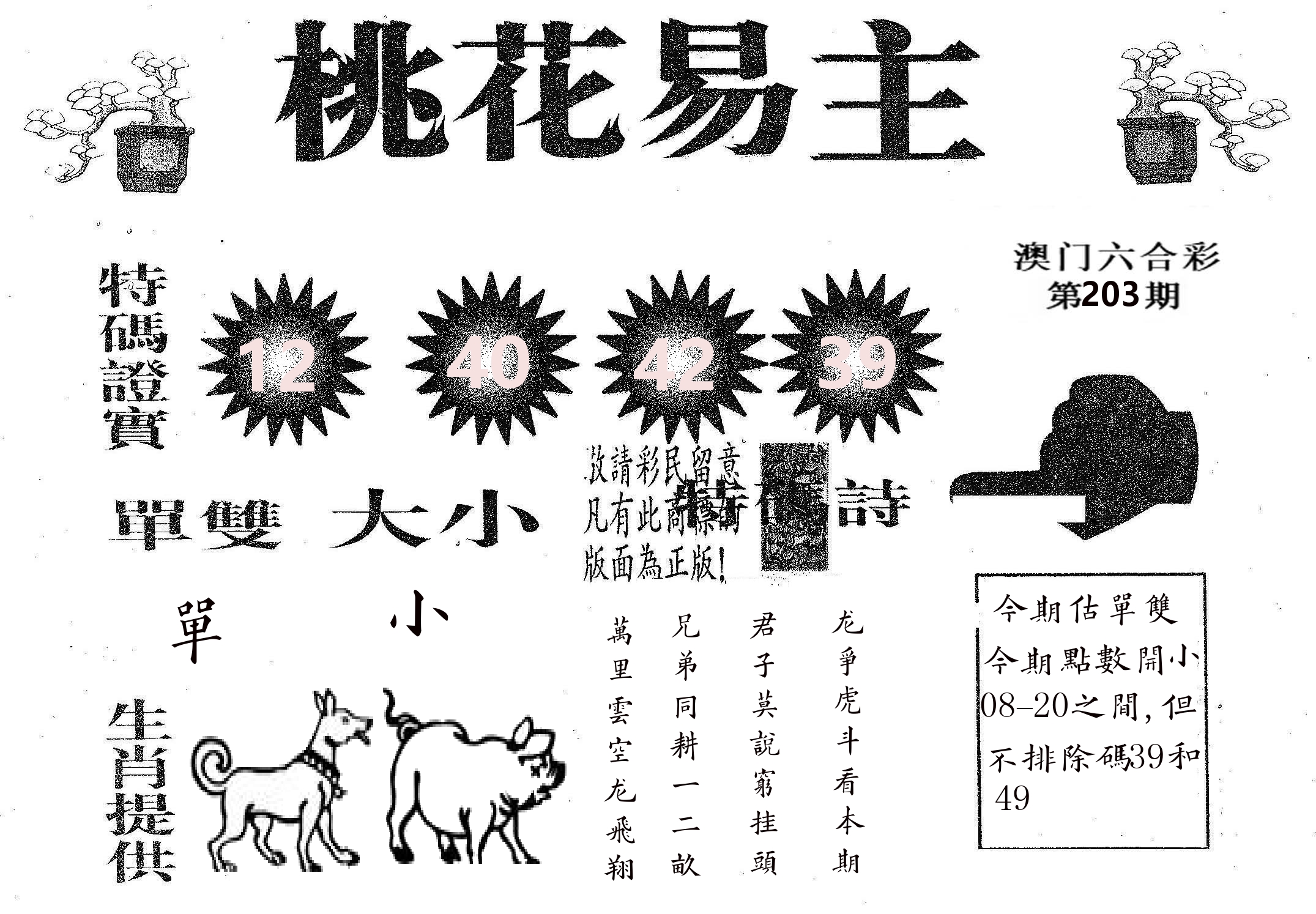 桃花易主 第203期