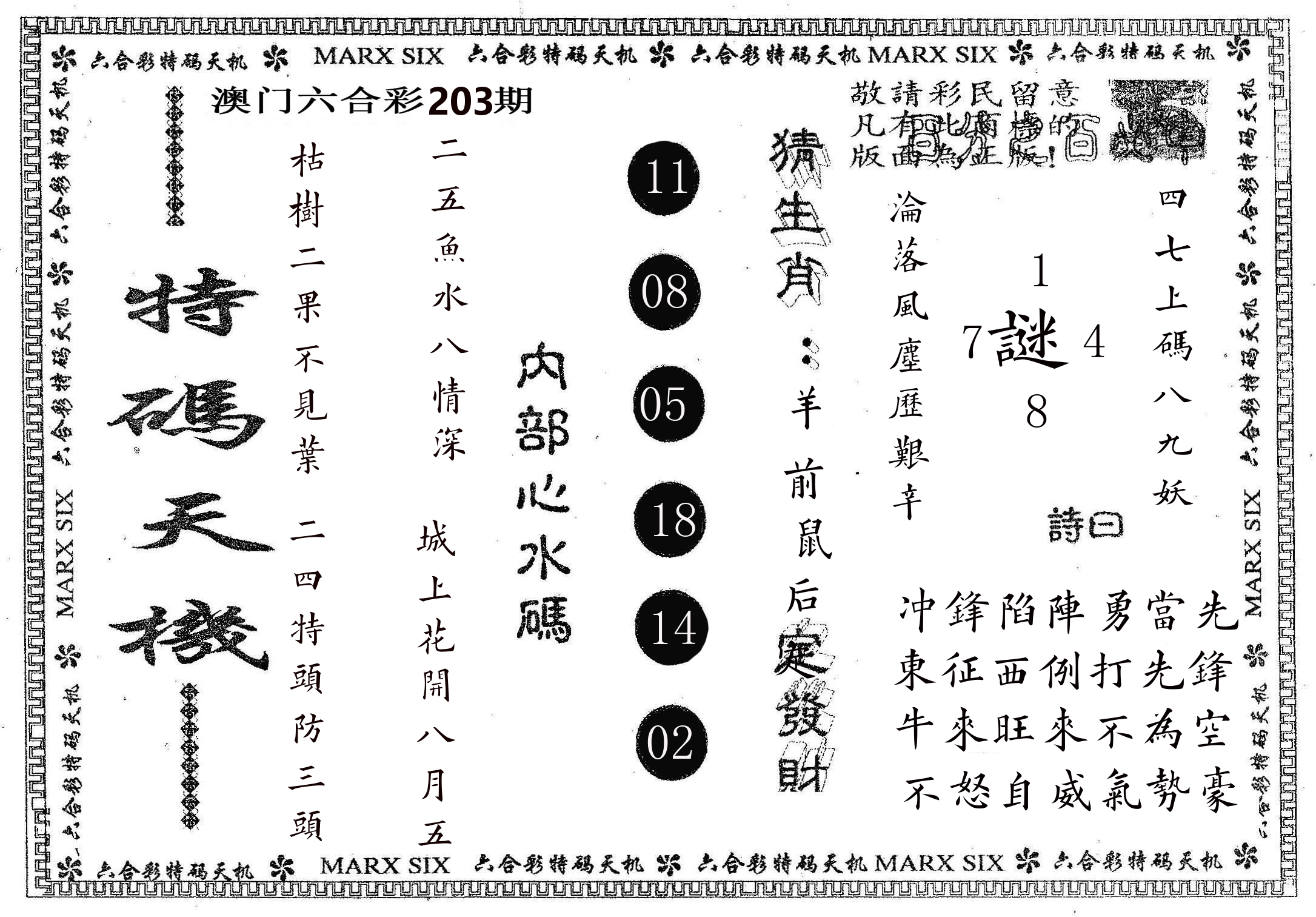 特码天机 第203期