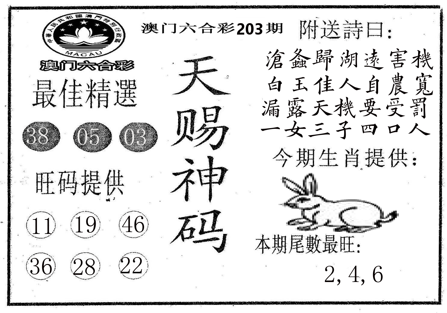 天赐神码 第203期