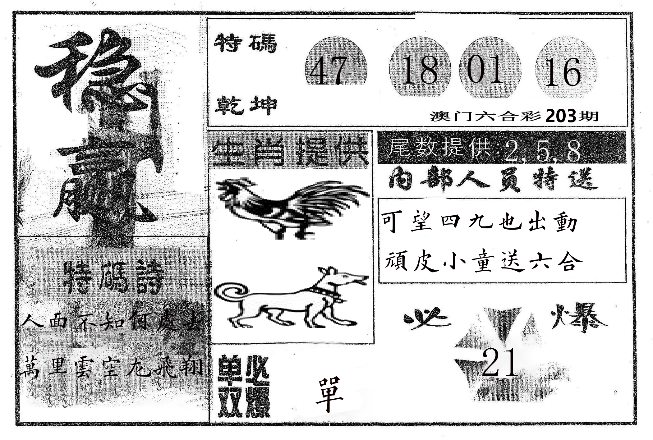 稳赢 第203期