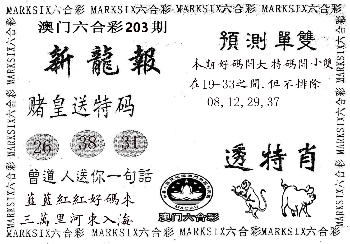 新龙报 第203期