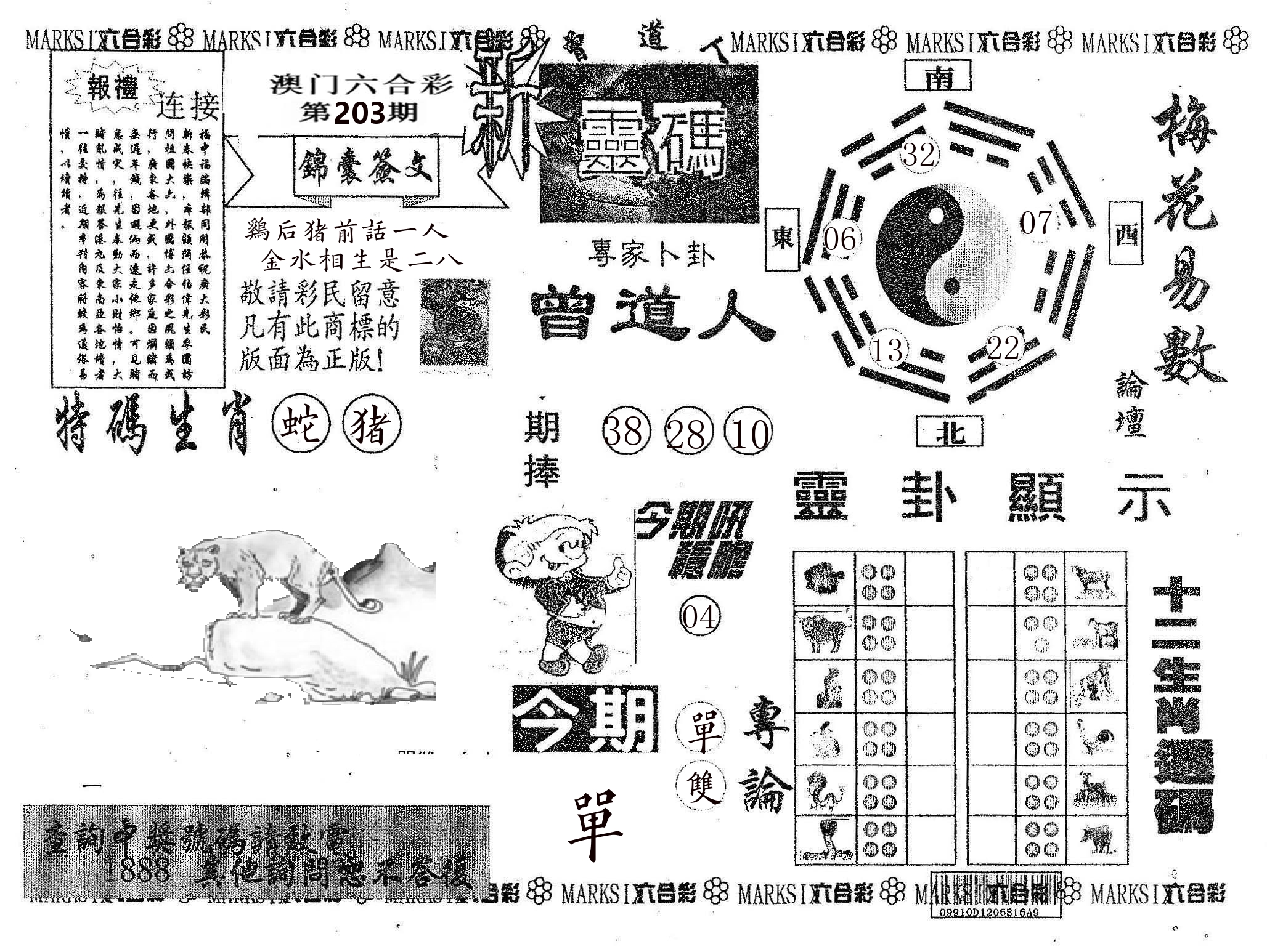 新灵码 第203期