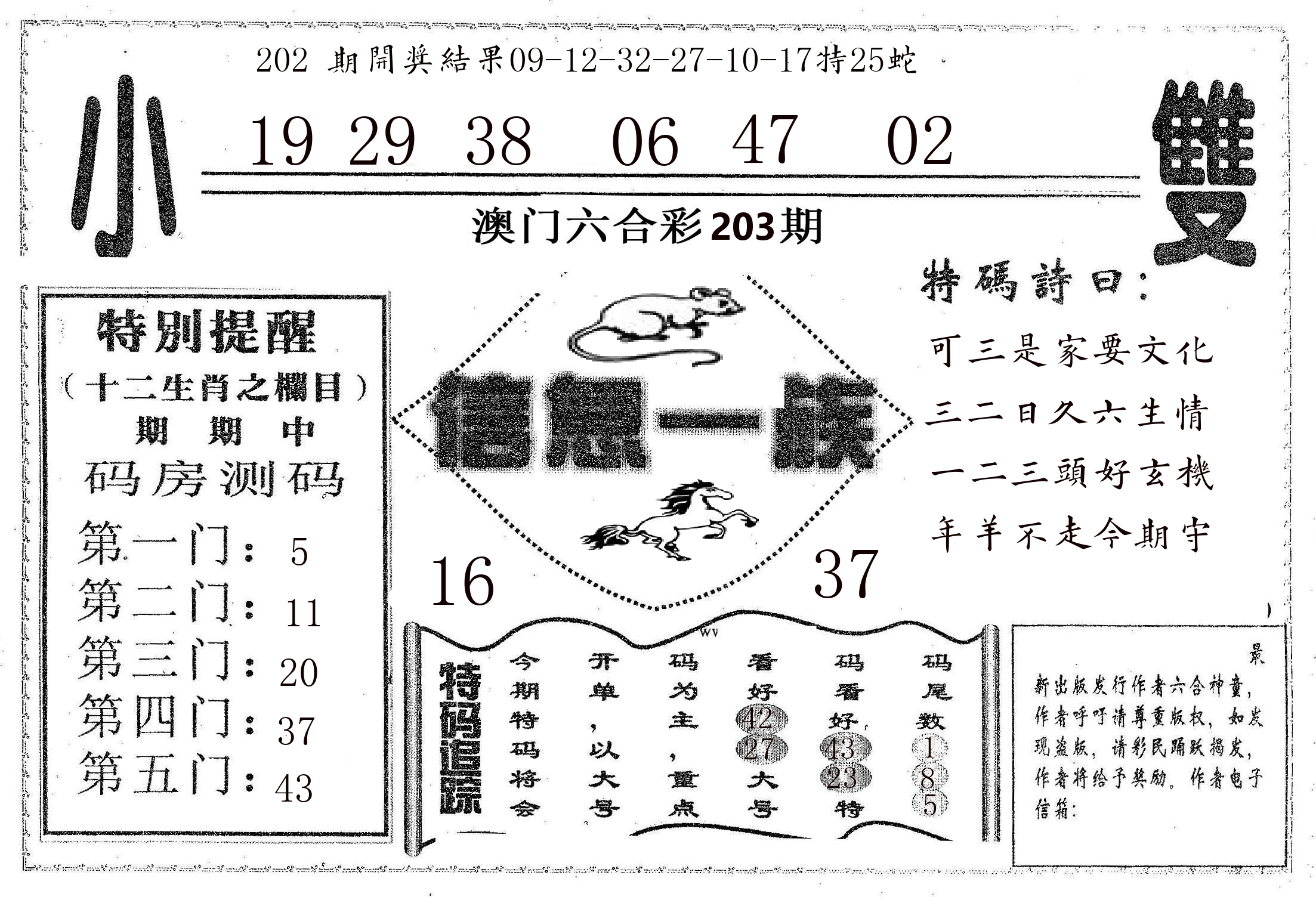 信息一族 第203期