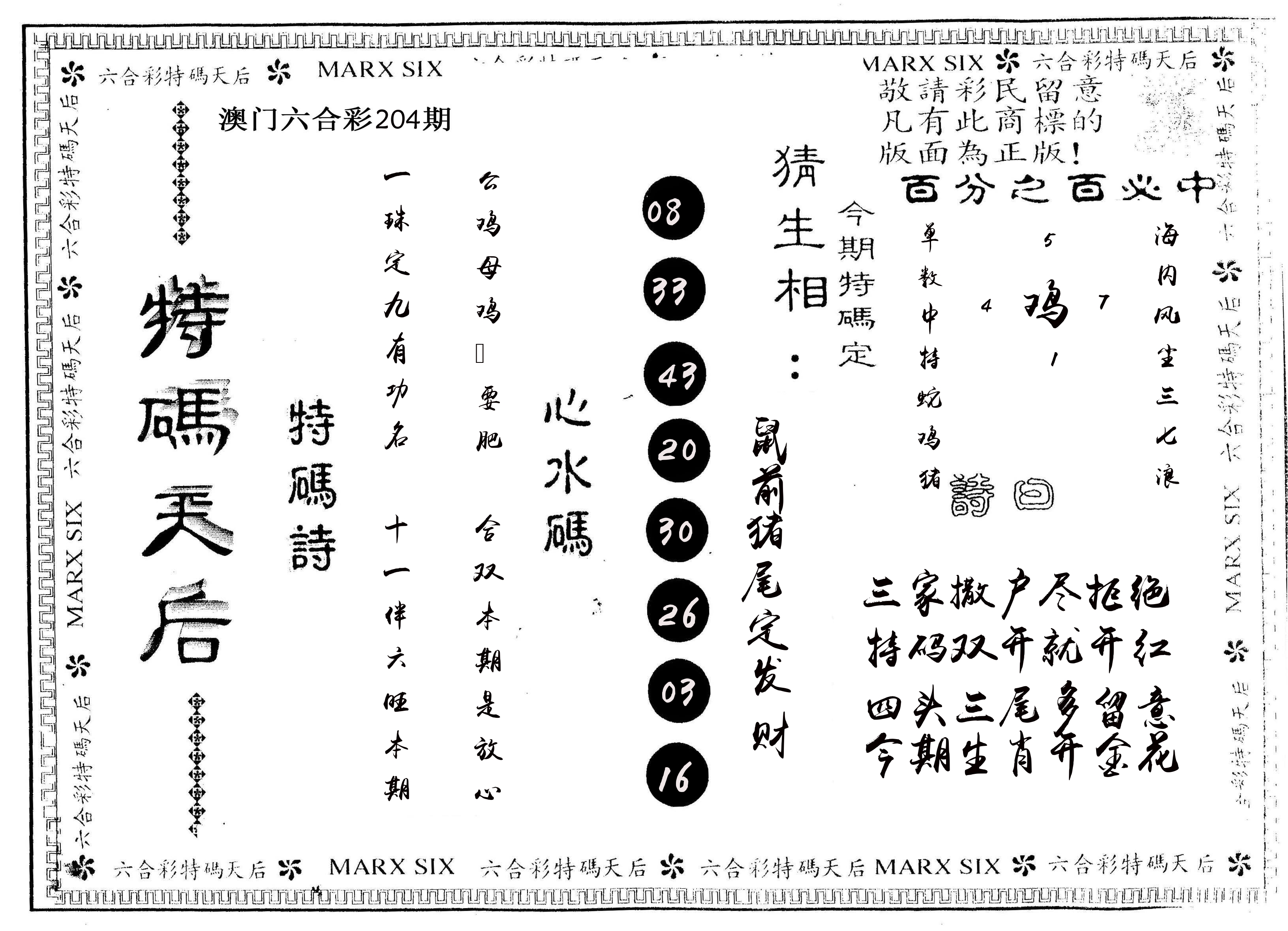 另版特码天后 第204期