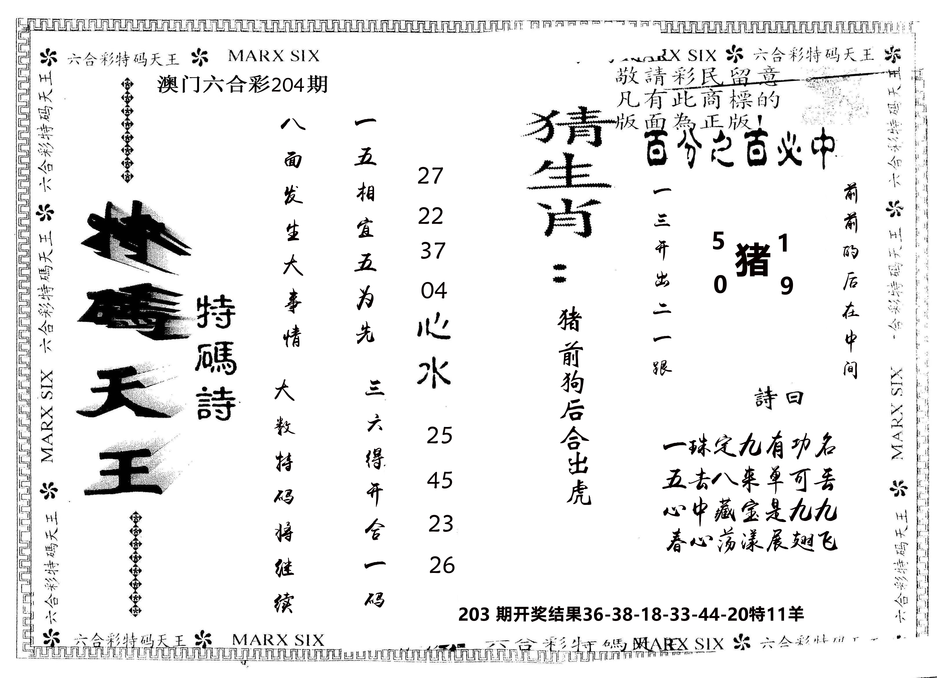 另版特码天王 第204期