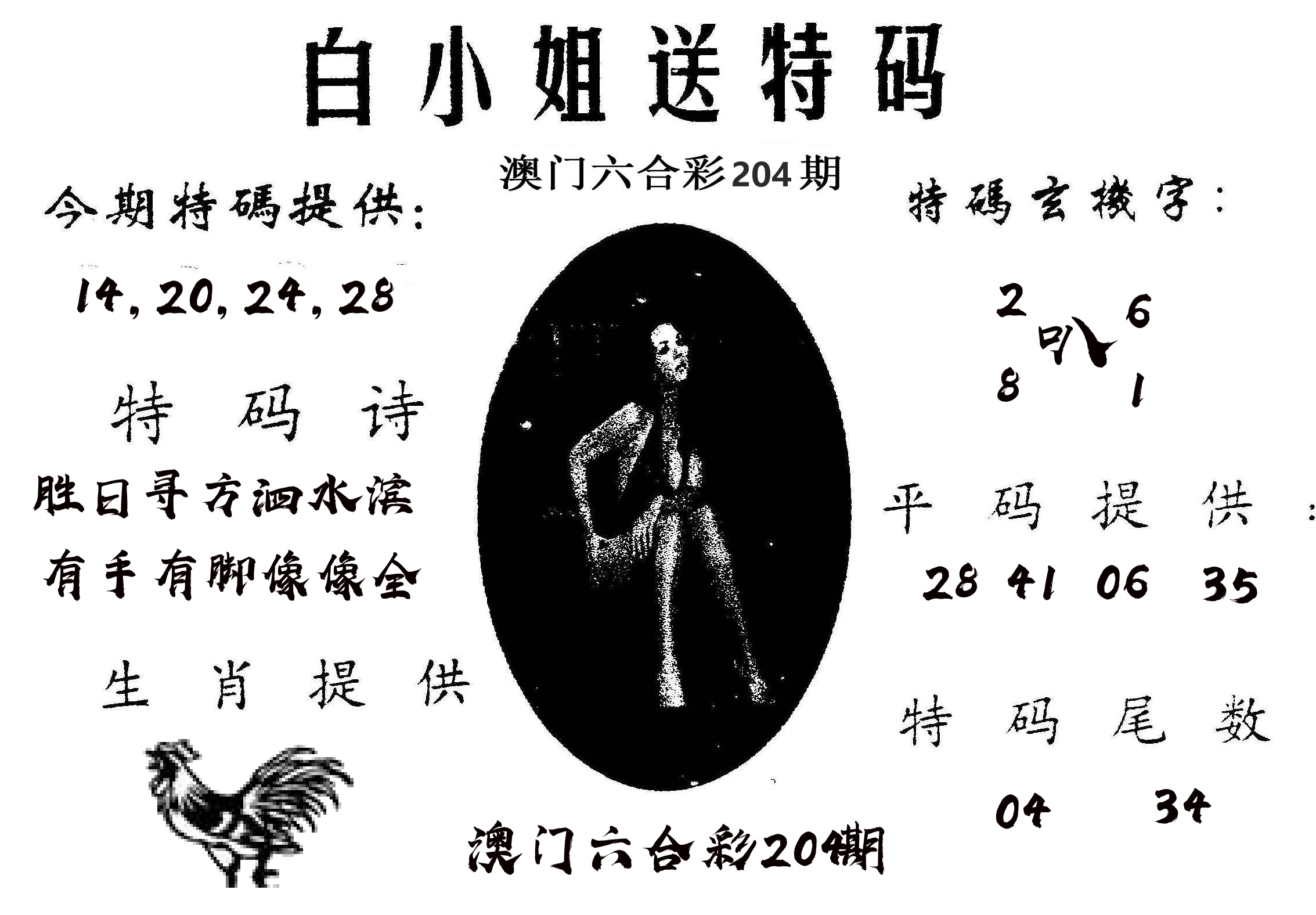 白姐送特 第204期