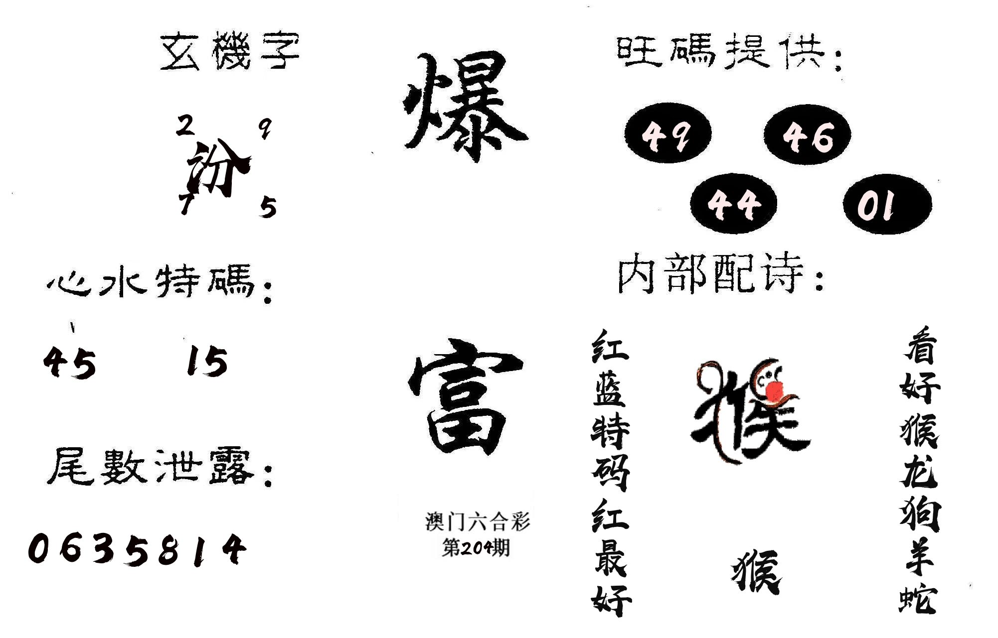 爆富 第204期