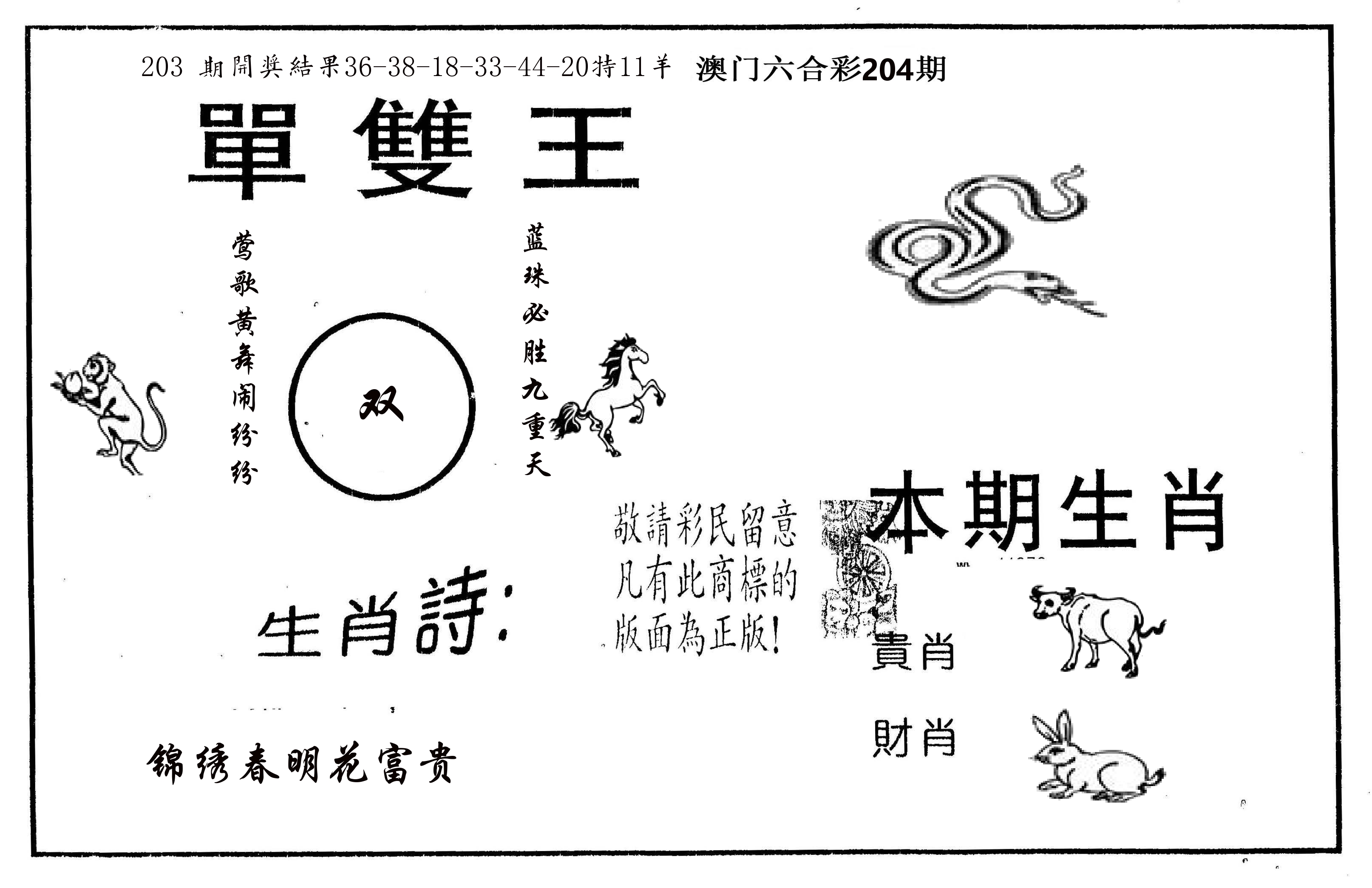 单双王A 第204期