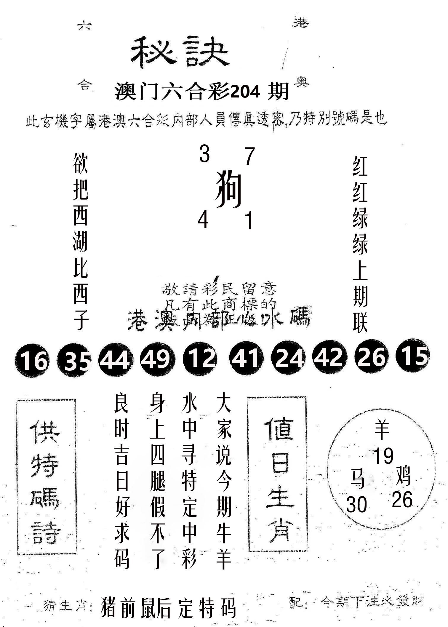 秘决 第204期