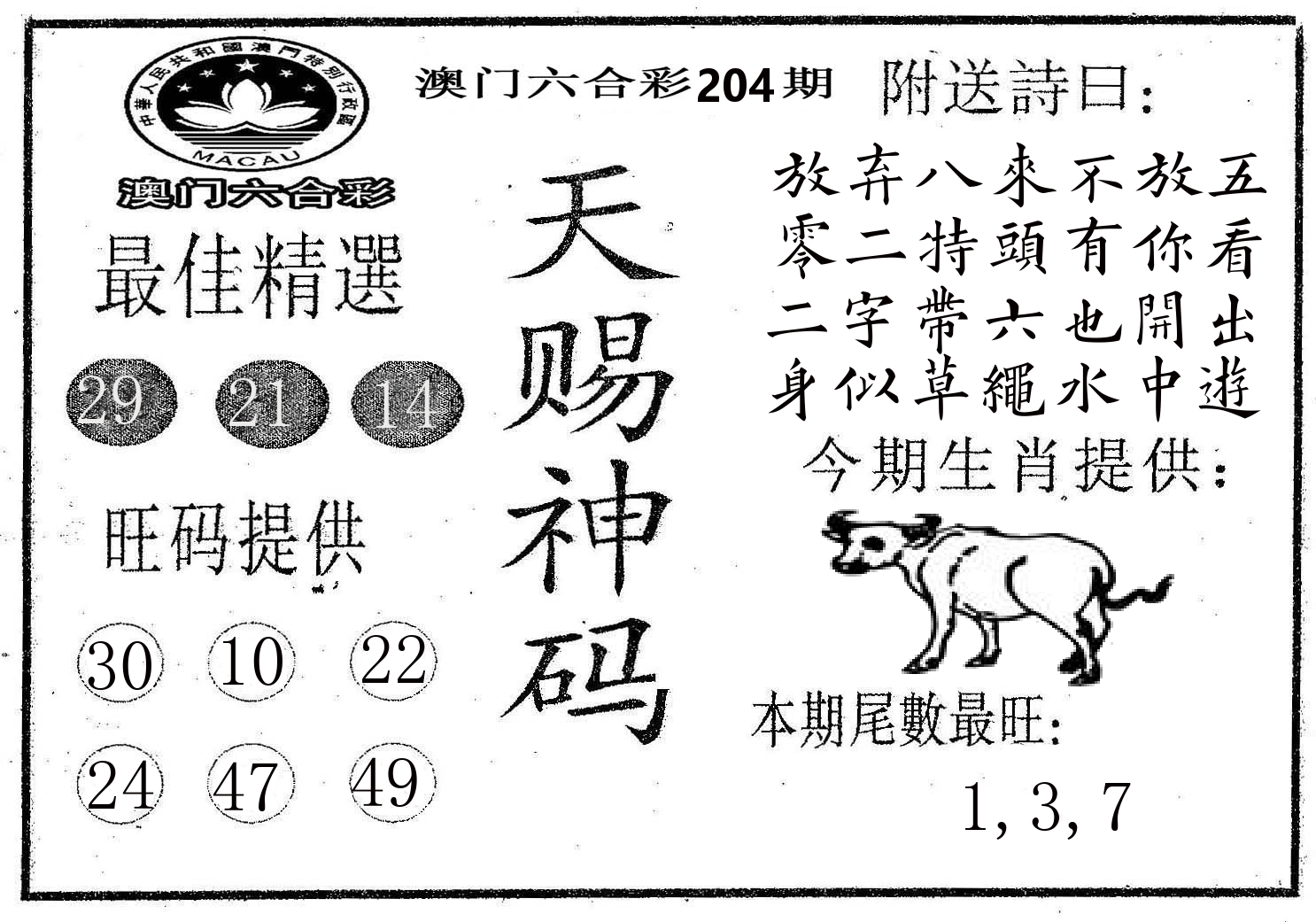 天赐神码 第204期