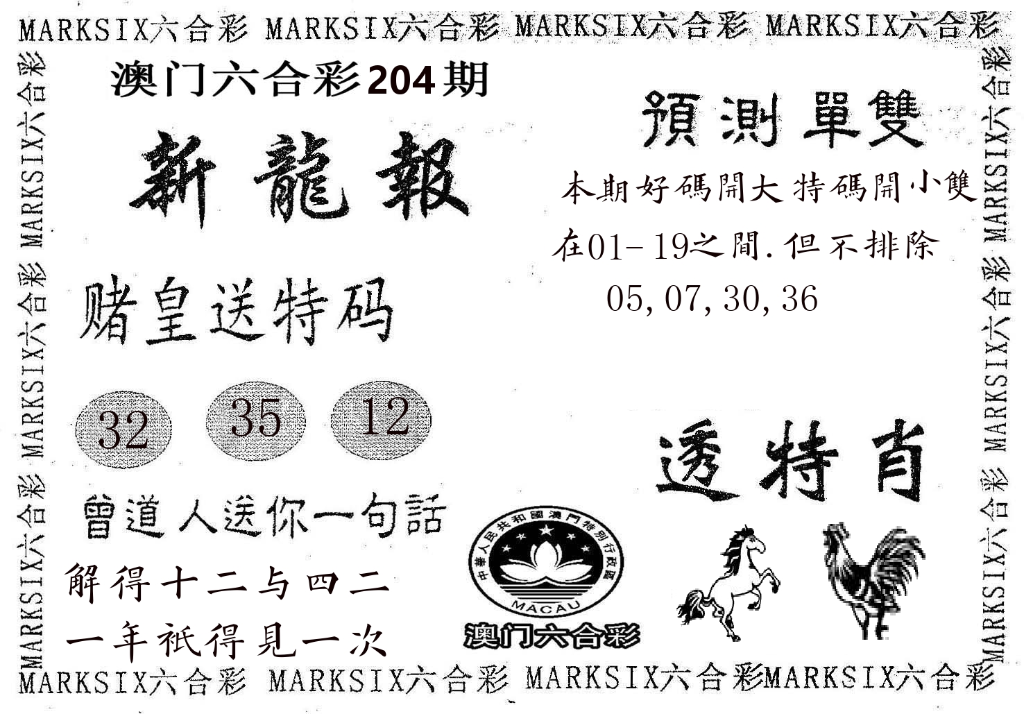 新龙报 第204期