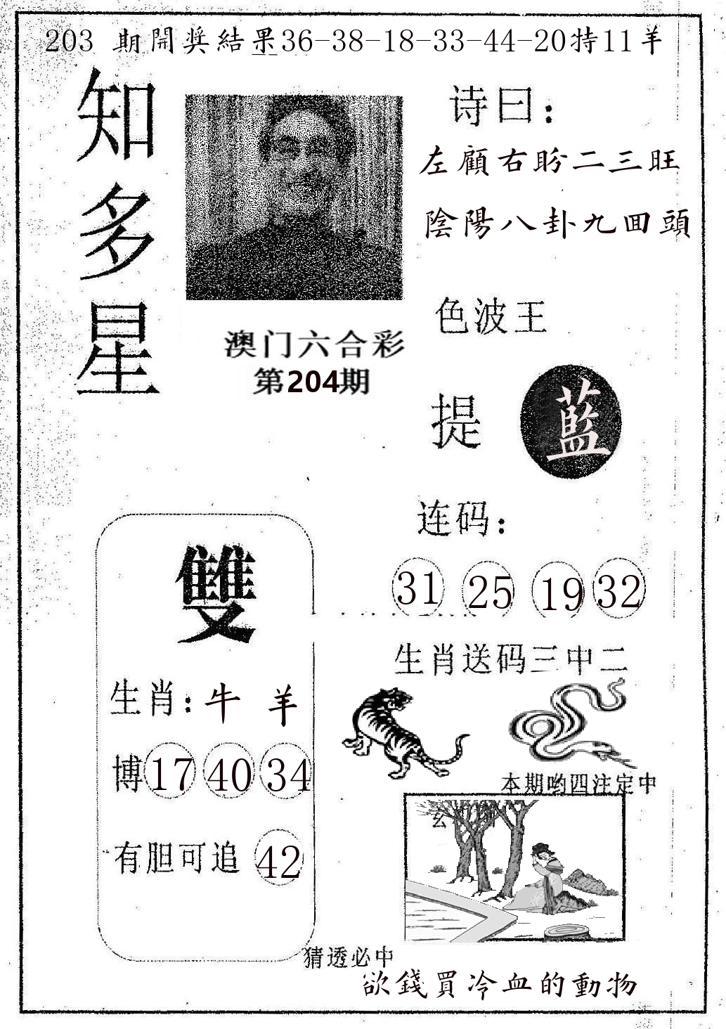 知多星 第204期