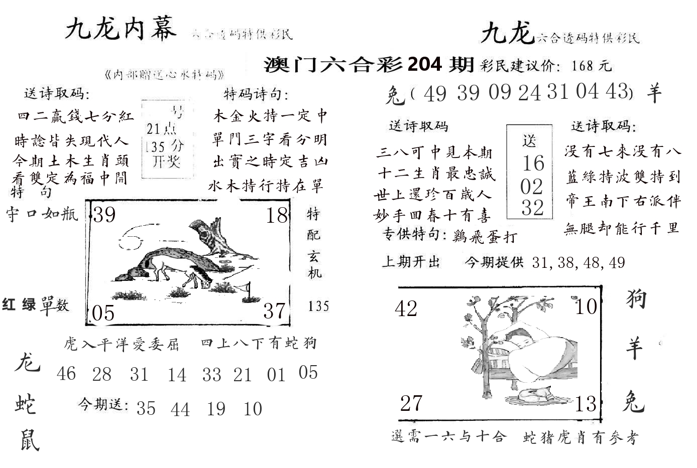 九龙内幕 第204期