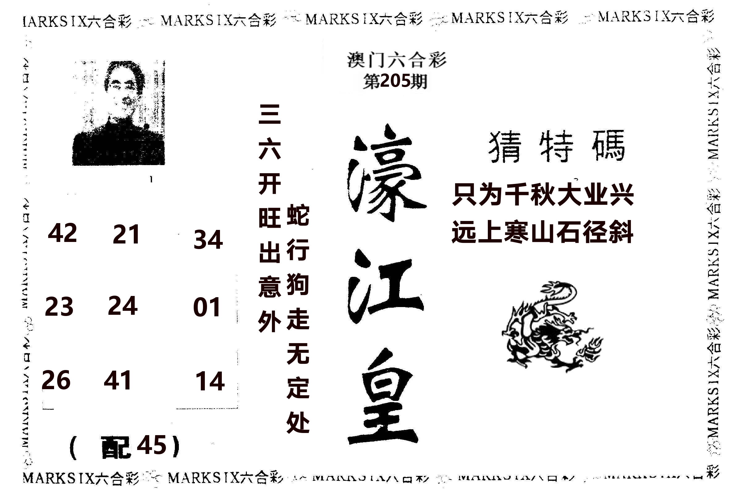 濠江皇 第205期