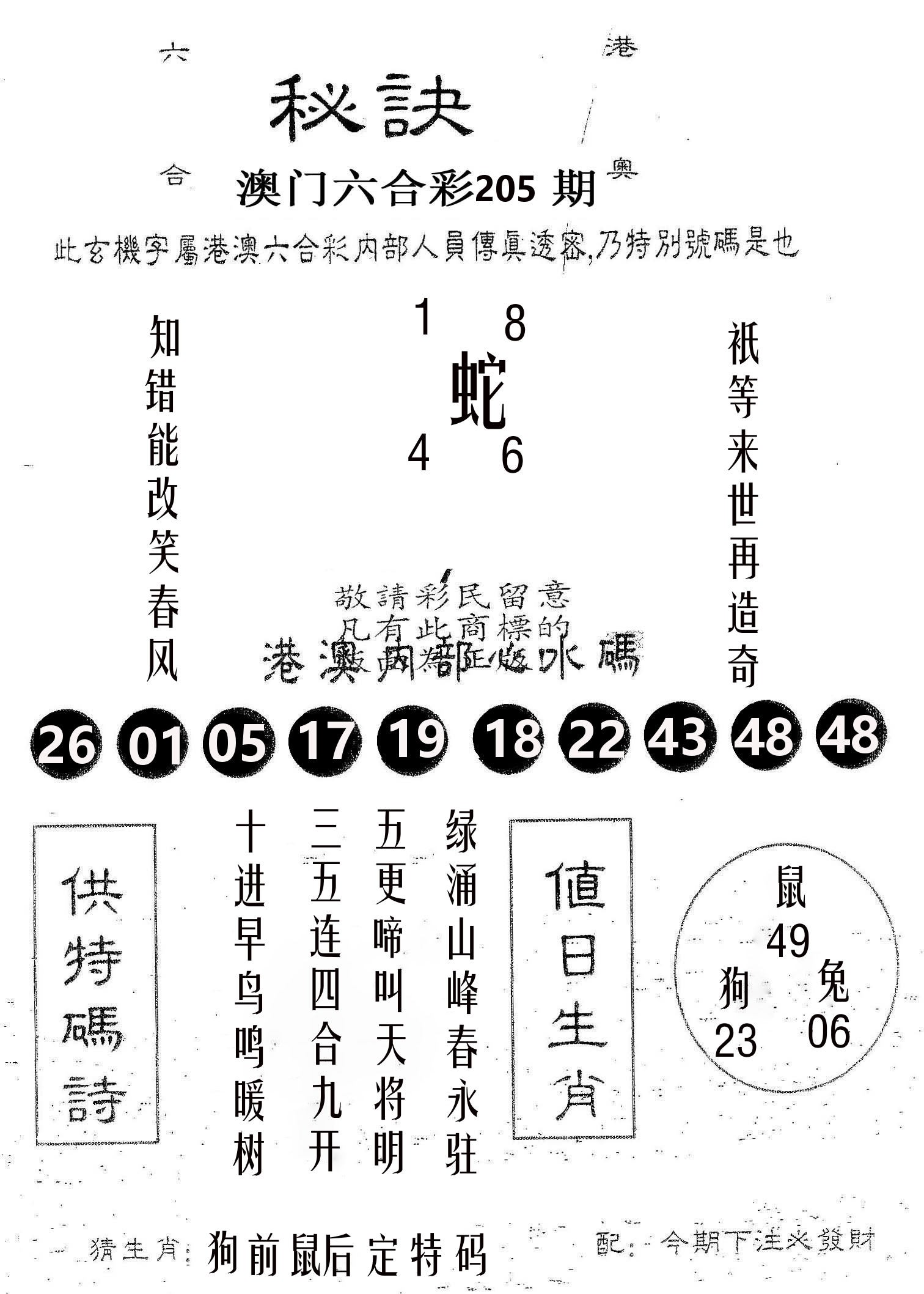 秘决 第205期