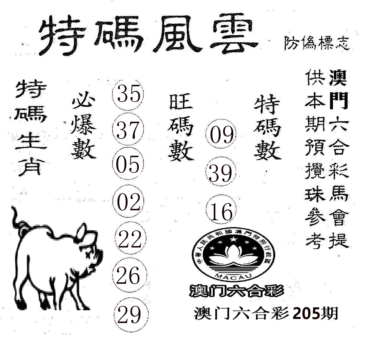 特码风云 第205期