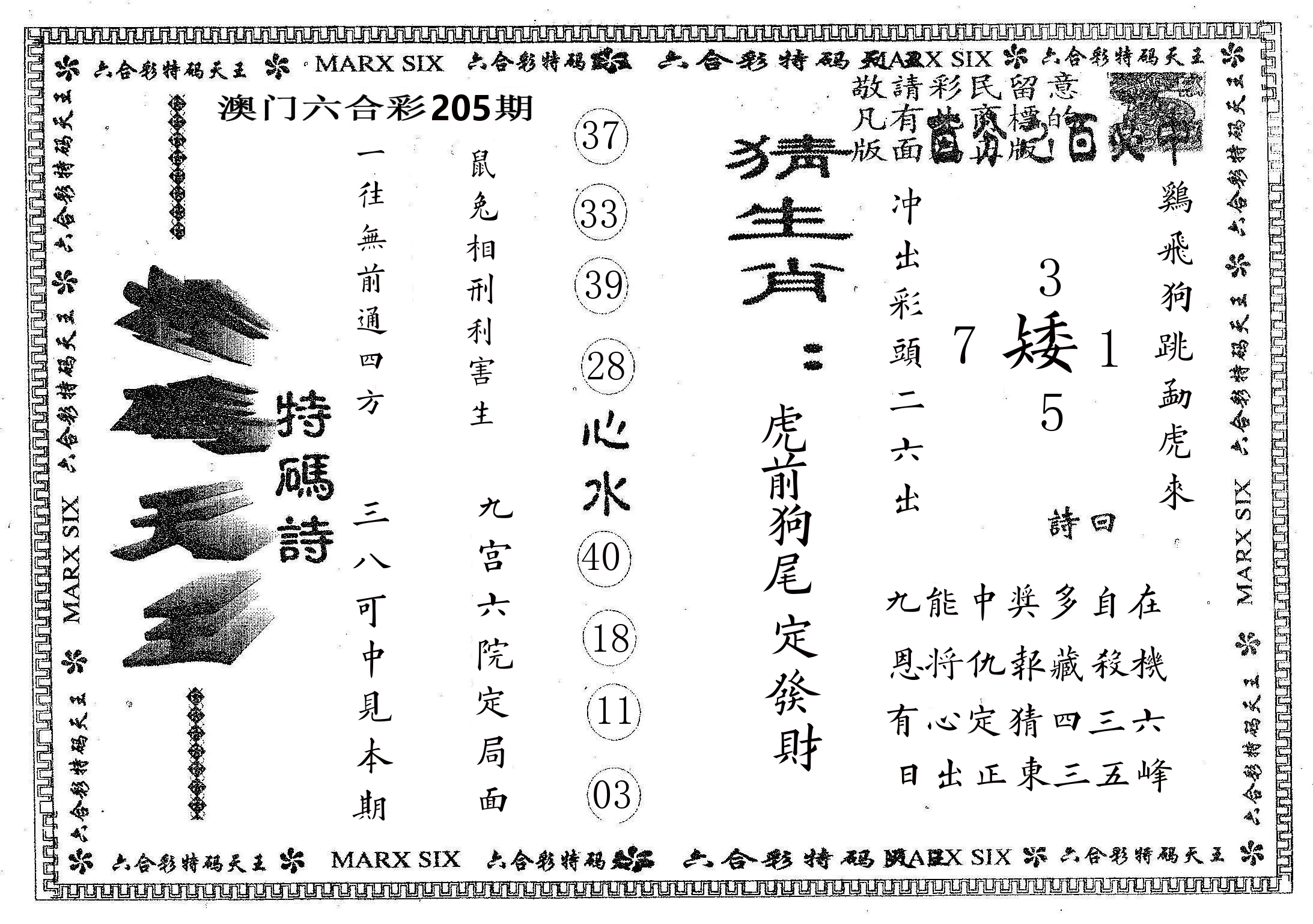 天码天王 第205期