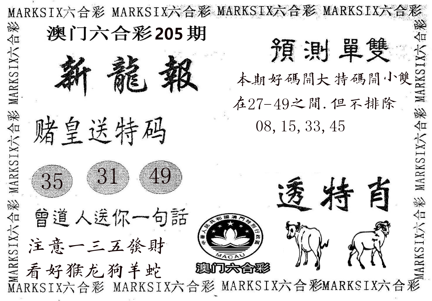 新龙报 第205期