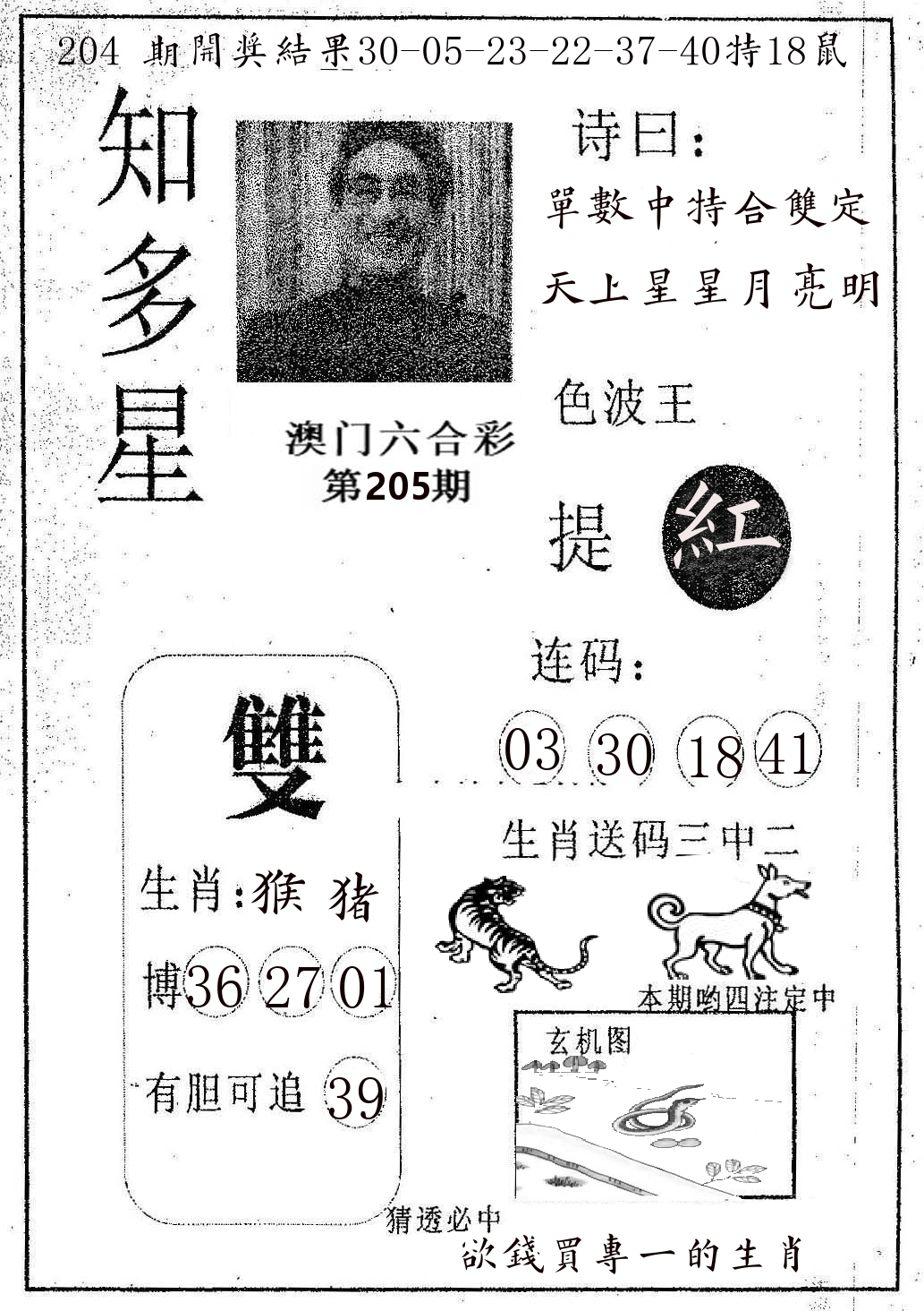 知多星 第205期