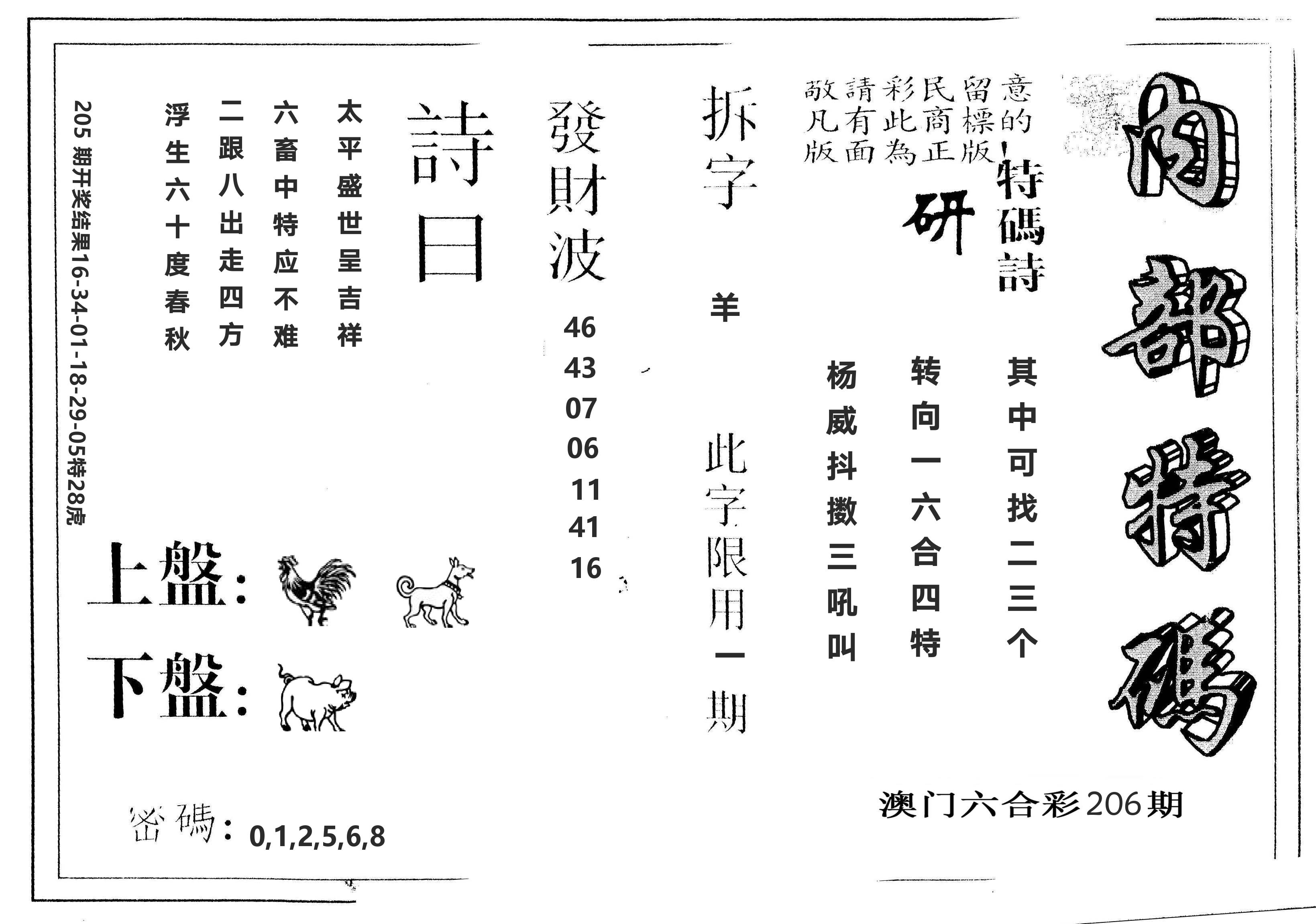 另版内部特码 第206期