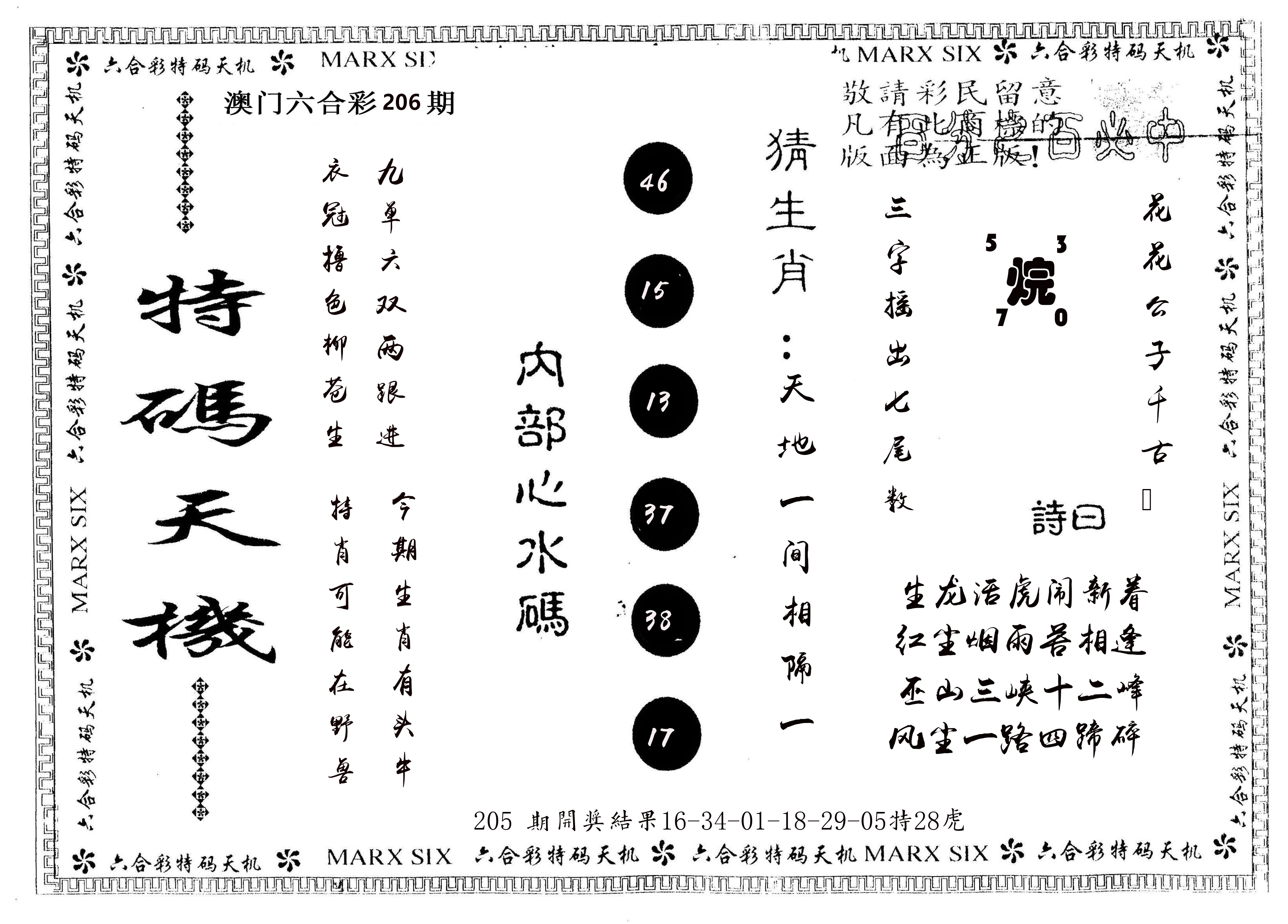 另版特码天机 第206期