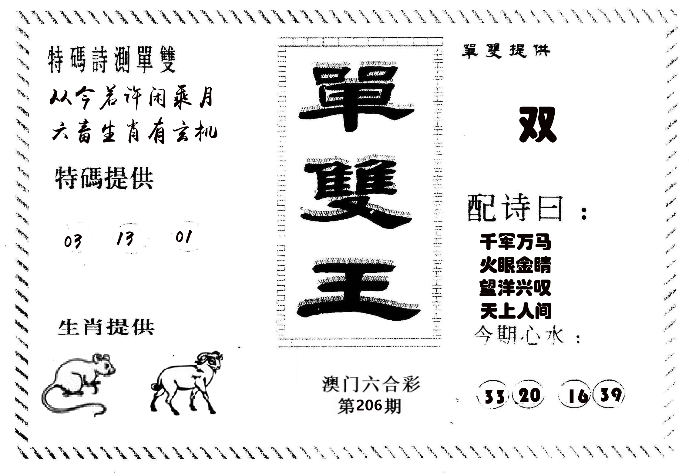 单双王B 第206期