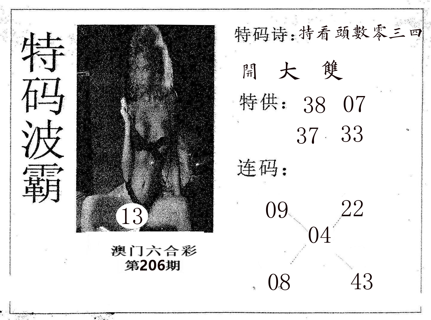 特码波霸 第206期