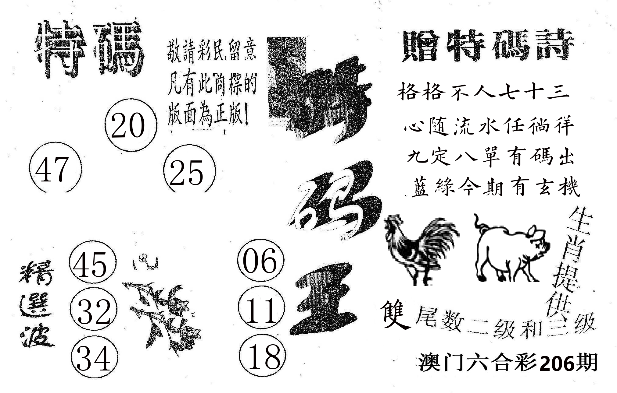 特码王A 第206期