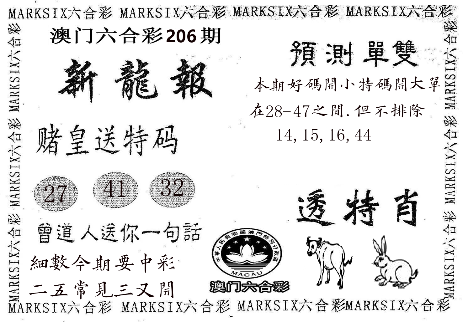 新龙报 第206期