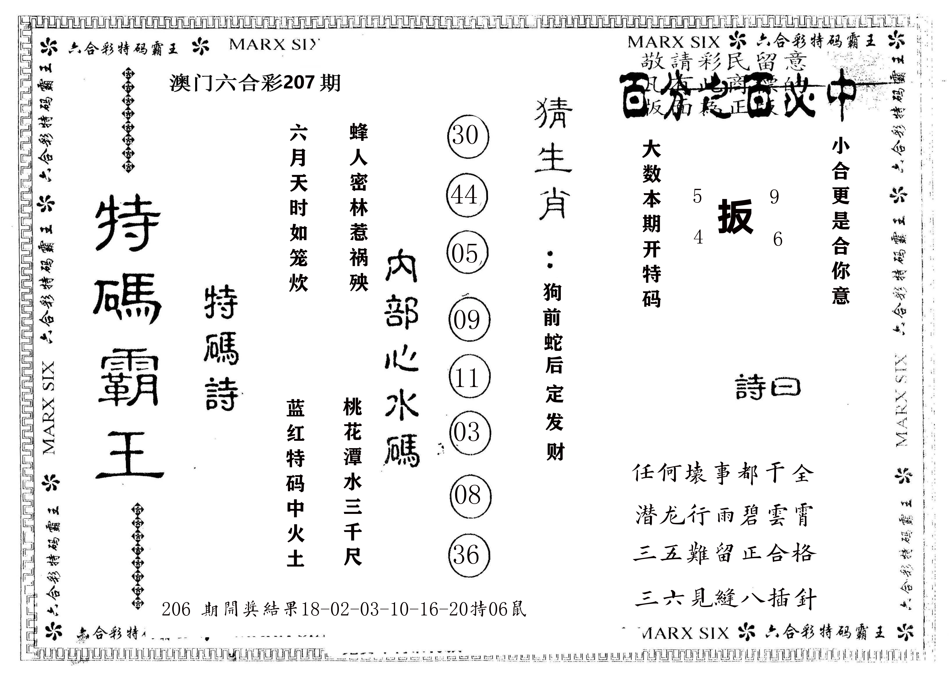 另版特码霸王 第207期