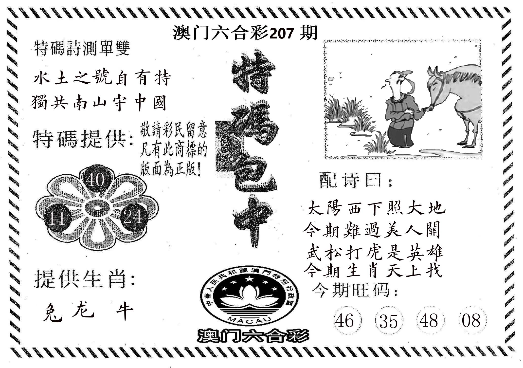 特码包中 第207期