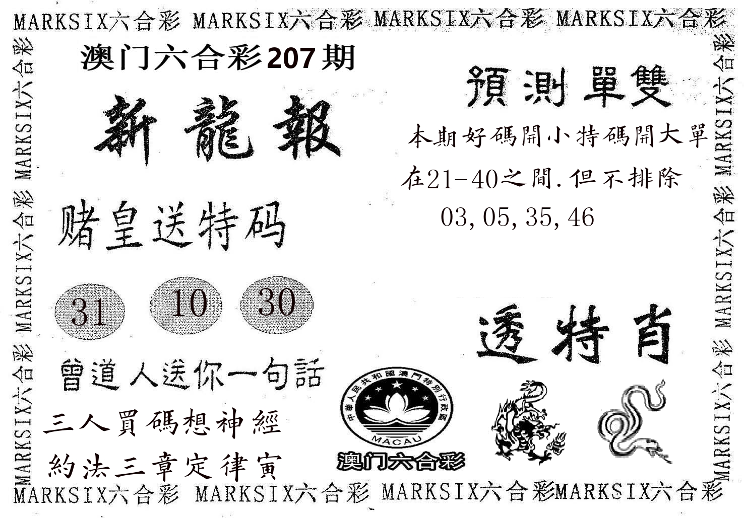新龙报 第207期