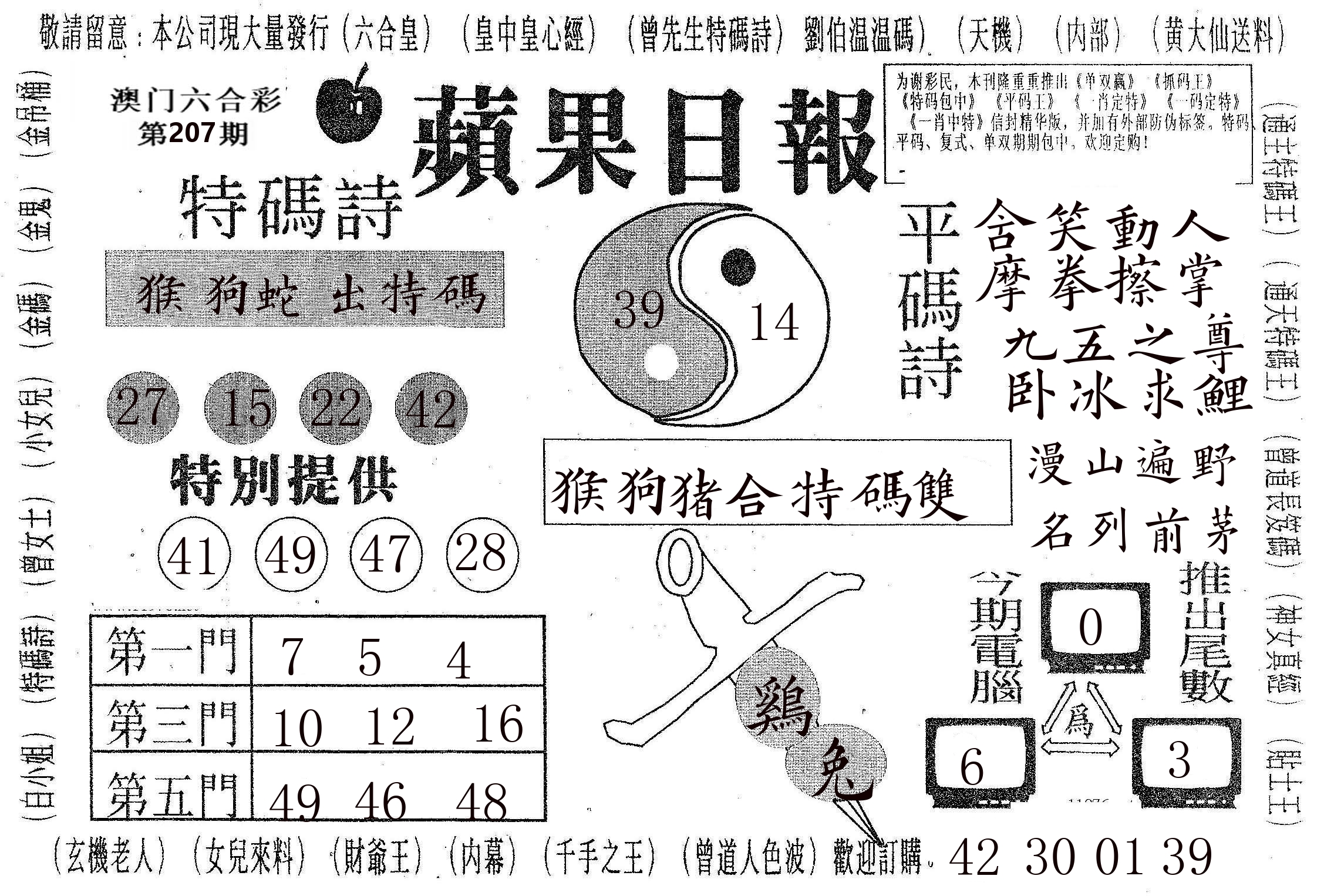 新苹果日报 第207期
