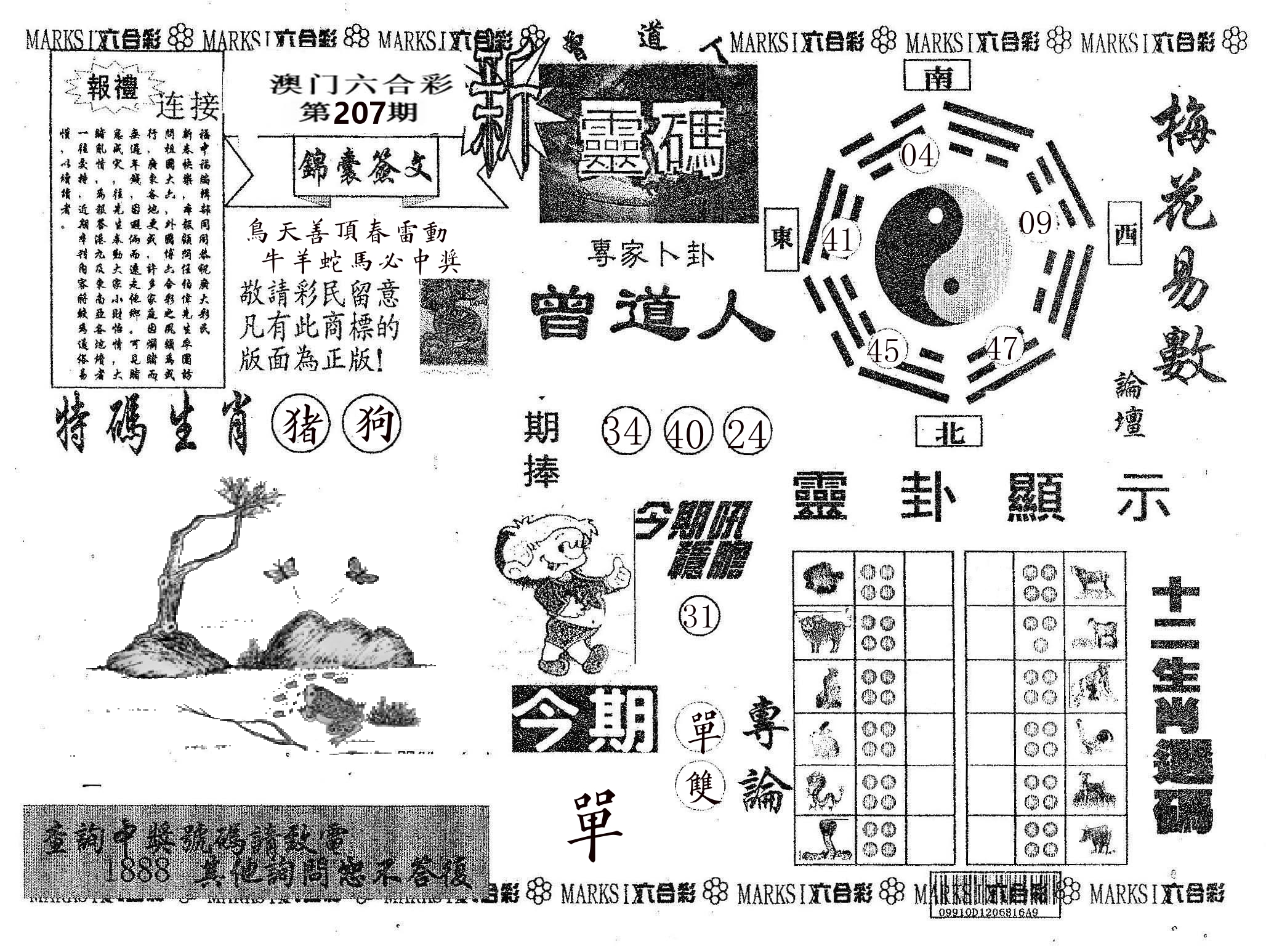 新灵码 第207期
