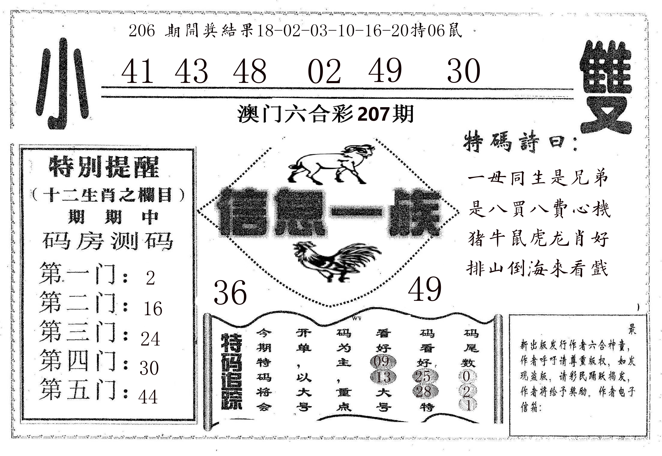 信息一族 第207期