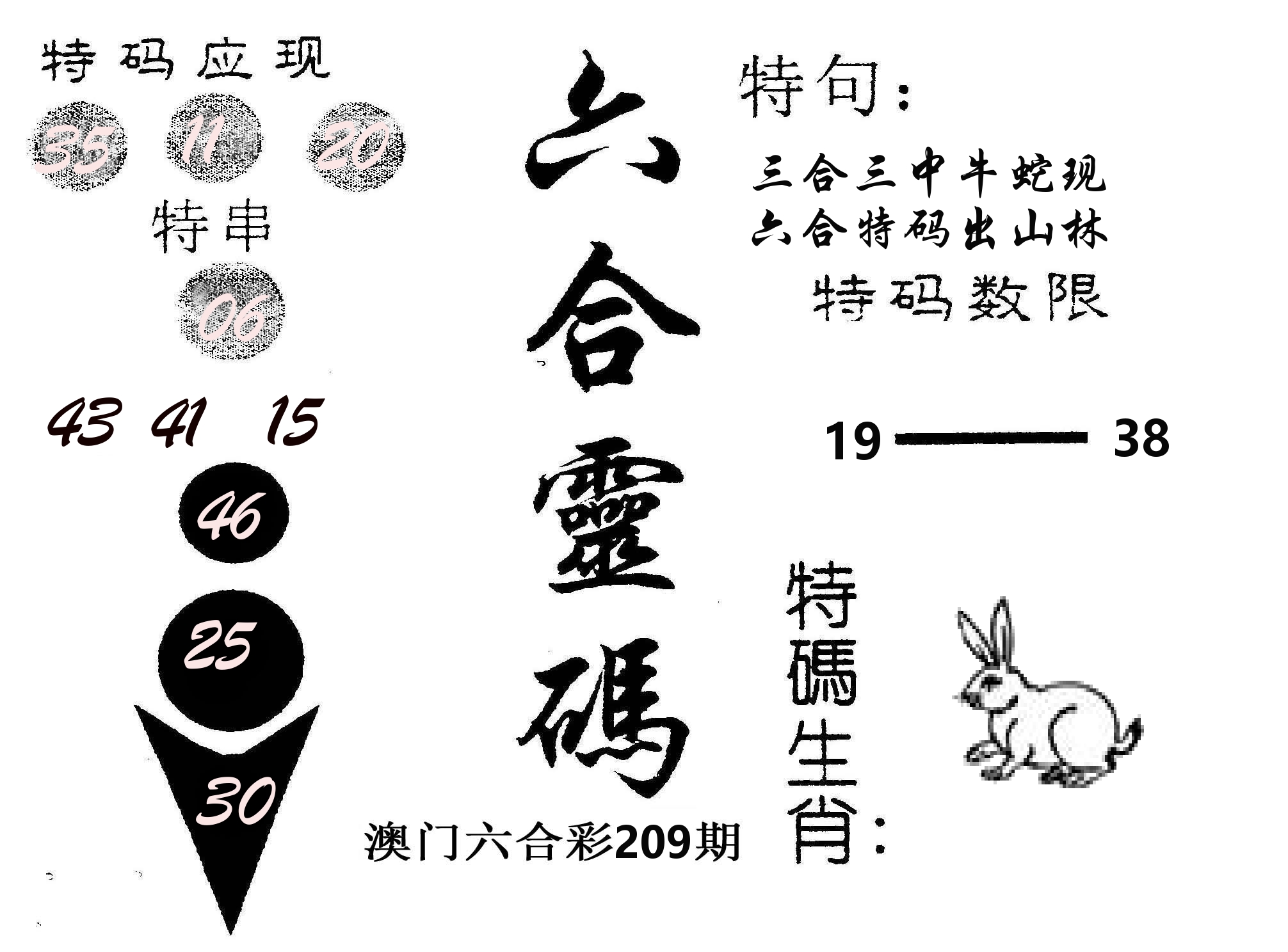 六合灵码 第209期